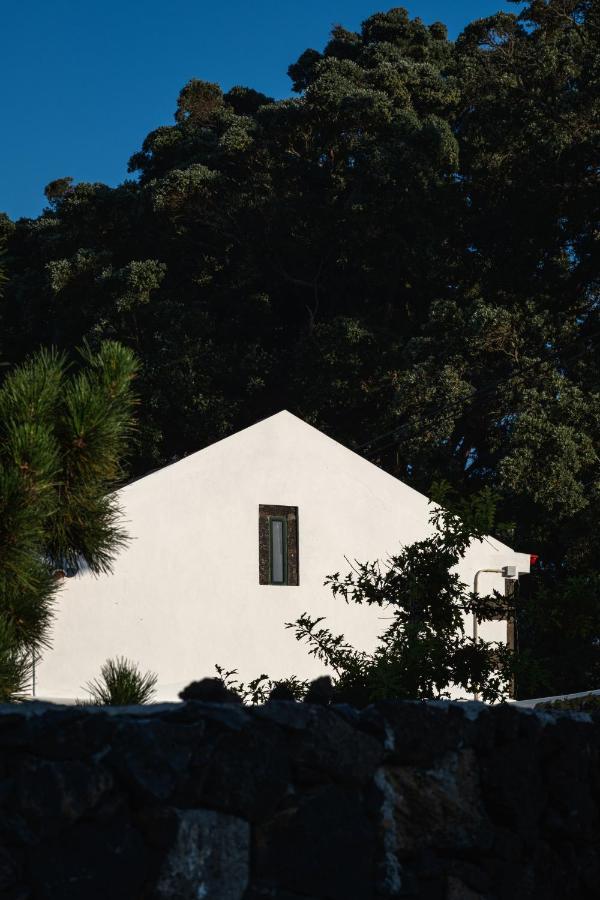 Entre Muros - Turismo Rural - Casa Com Jardim E Acesso Direto Ao Mar Рибейра Гранде Екстериор снимка